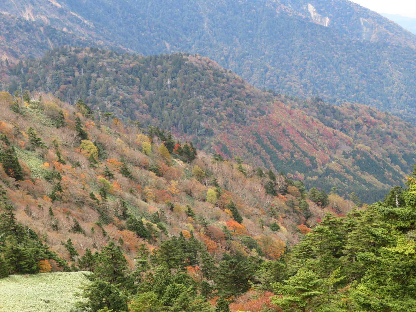 綺麗な山肌🍁✨