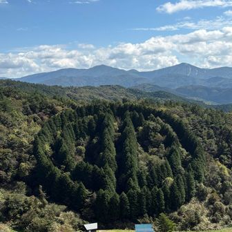 杉の木で、旧芸北町のマークなのだそう。