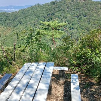 紫山のベンチからカエルがいなくなっていました。
残念。。。
