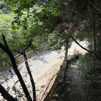 思っていた以上にすれ違いや追い越しが多くて安心。南東尾根の登山口が見えてきた。
