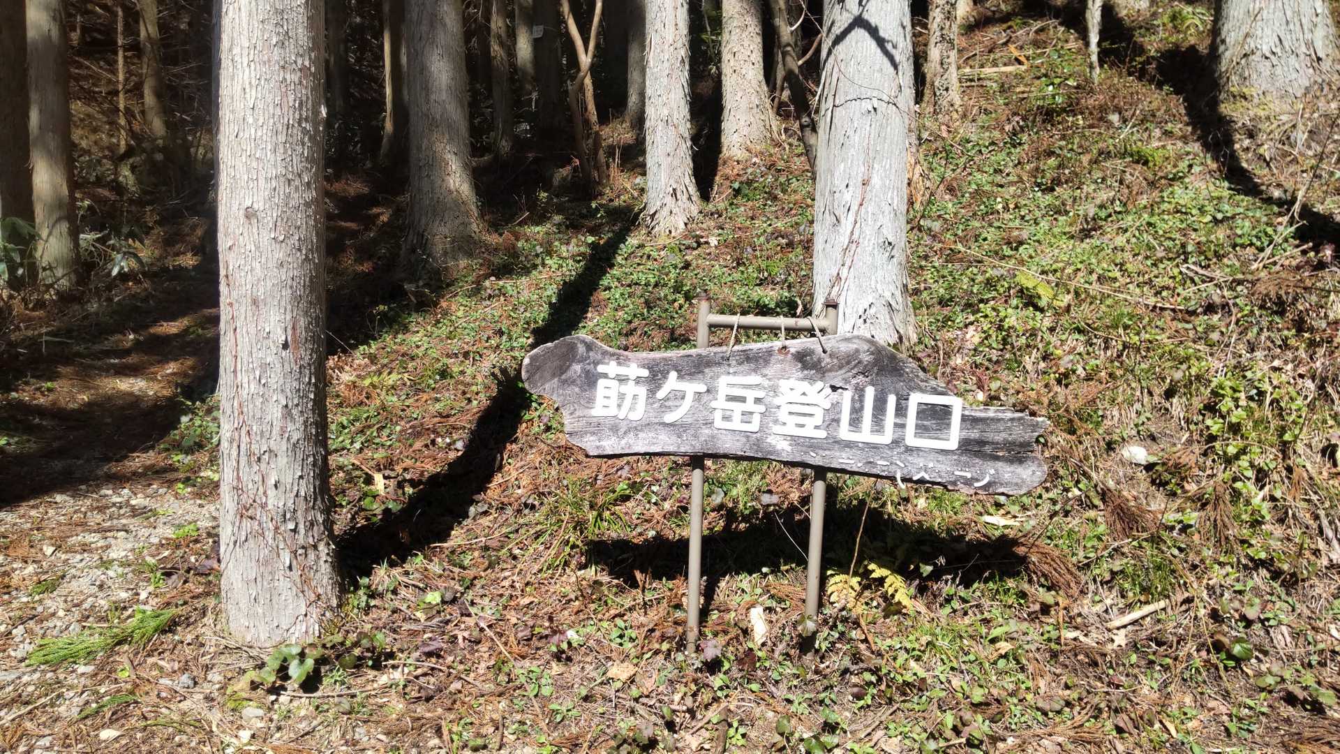 ここから登ります