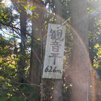 やっと見つけた🪧