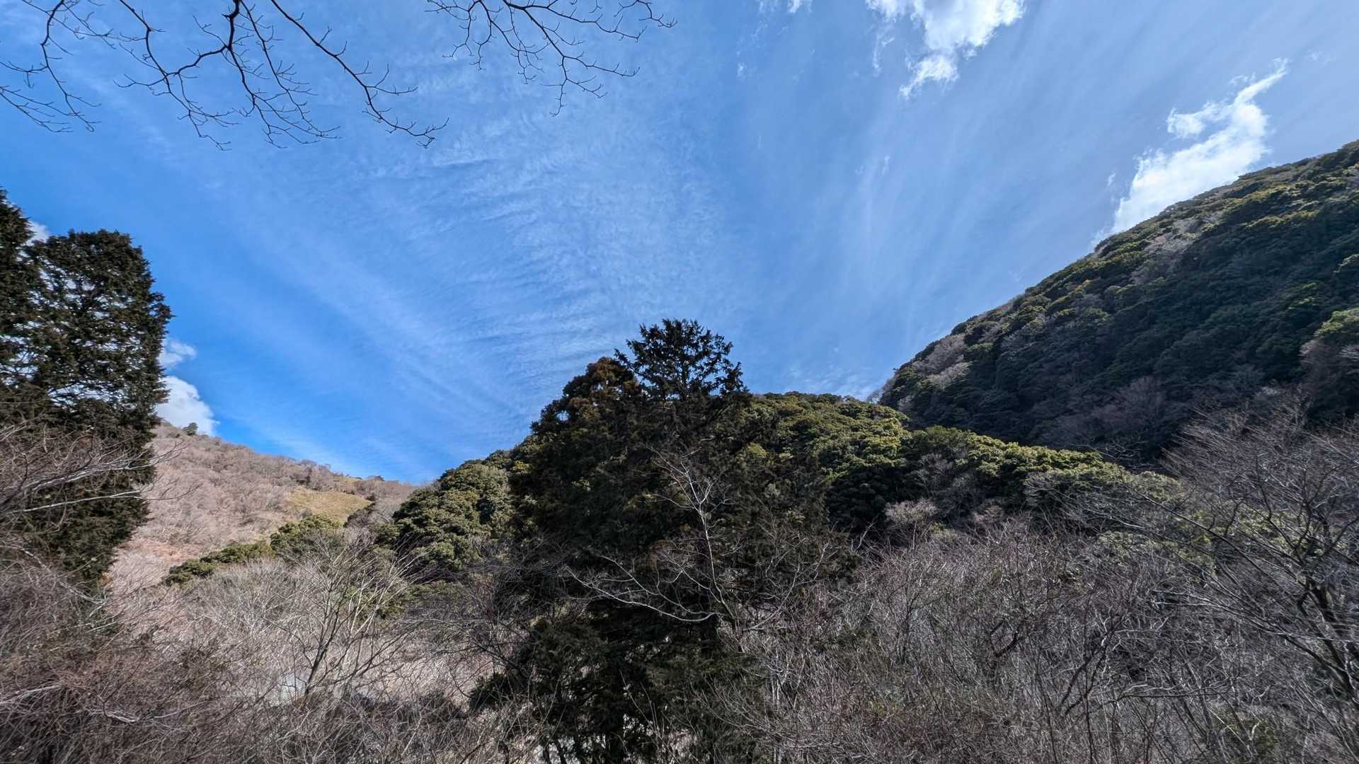 空が綺麗でしょ