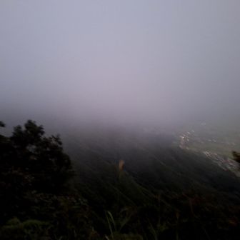 あっという間に雲が降りてきて包まれる👀