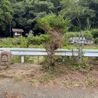 花嫁街道入口

ここまでが舗装道路歩きで、正面手前の登山口を上がっていきました。色々あって帰りは右側の林道から下山しました。