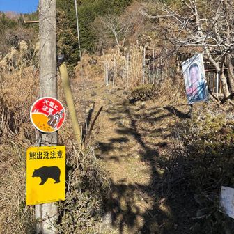 行きに撮らなかったので📸
ここからトレイルです👆