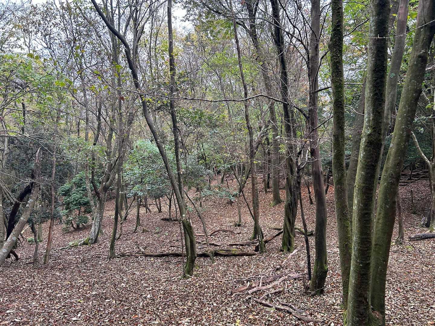 哲学の道-京都一周トレイル東山48番登山口-大文字山-如意 縦走コースの写真