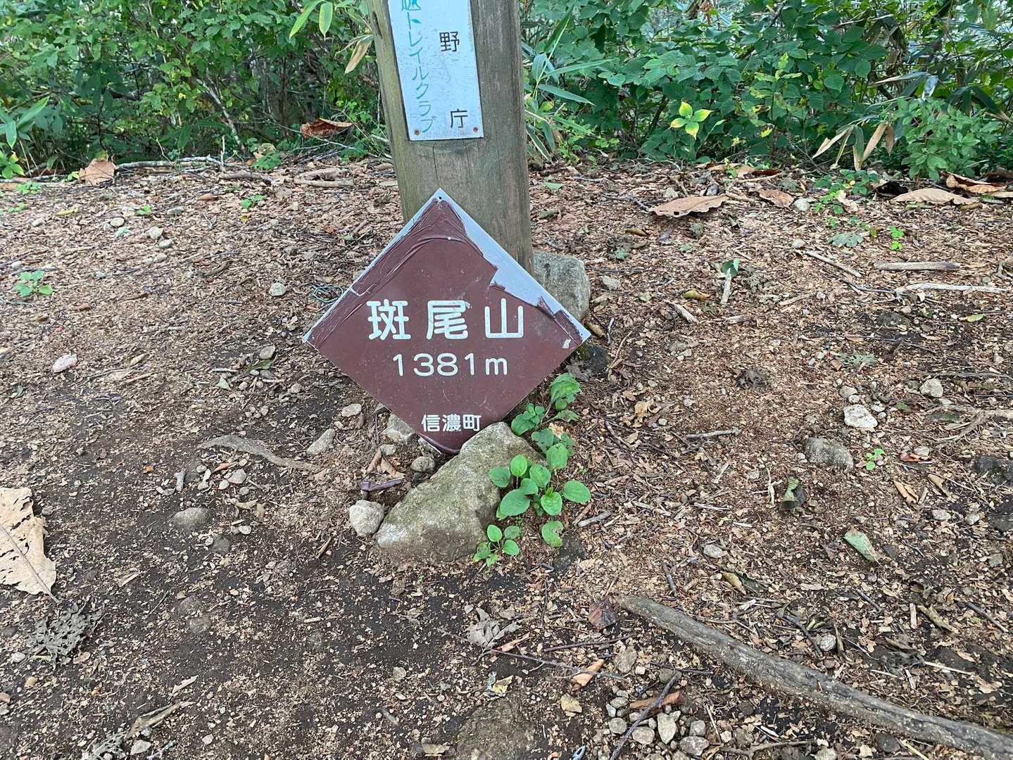 山頂に着きました。が、全く展望なしです。
西吾妻山の六畳一間の山頂を思い出しました。