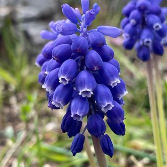 なにやっけ？( *^艸^)ﾌﾟﾌﾟﾌﾟ