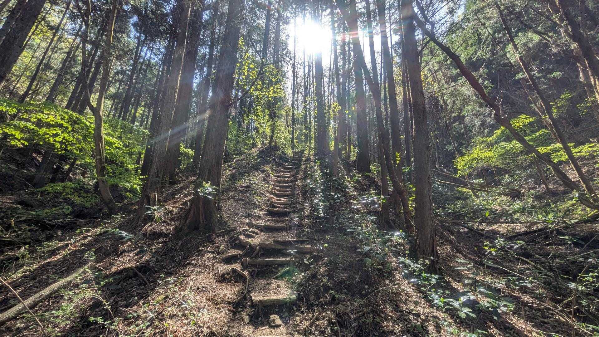 直登スタート