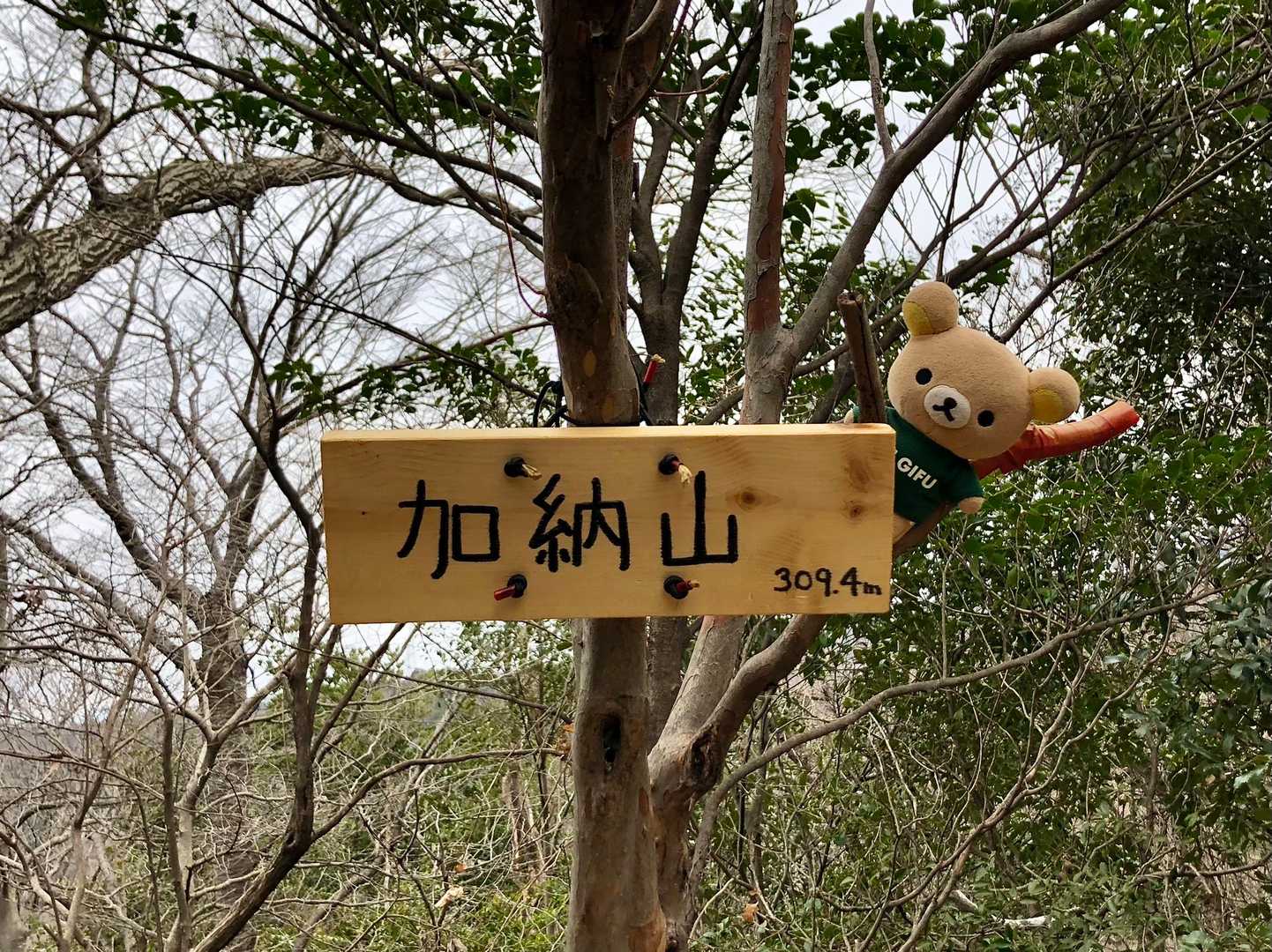 加納山のピークに到着！