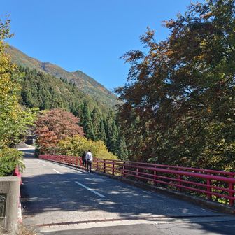 高井橋
