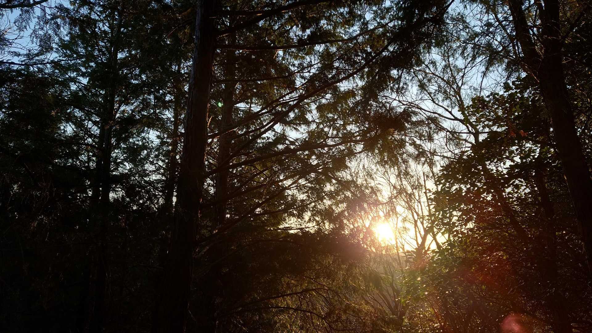 こっちの道は夕陽ポイント無いね