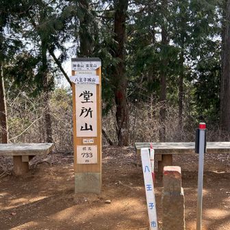 堂所山⛰️733m