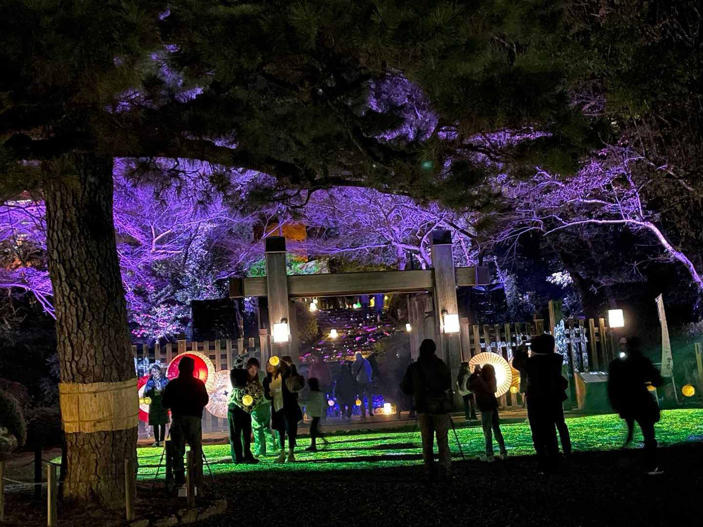 金華山まーページです☆ 金華山🏯（97回目） / 尚美さんの金華山・洞山・舟伏山の活動データ