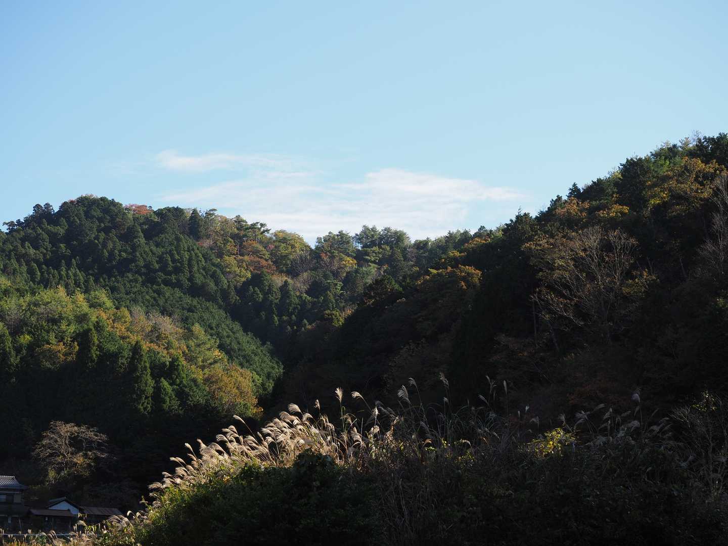 白髪岳・松尾山・水山 周回コースの写真