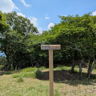 大根地山山頂
山頂は広く、北側と南側に開けている