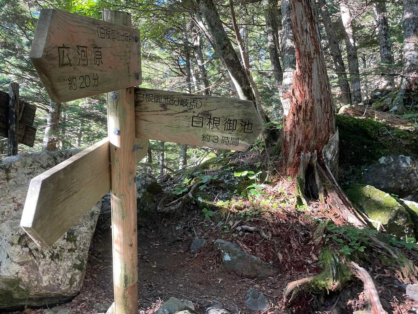白根御池　約3時間⁉
これ見てビビる💦
い、急がなきゃ！

登りが苦手なのでとにかく頑張って登らなければ（時間予測的に）脱出不可能。
それはちょっとオーバーかもしれませんが、最終でいいわ、なんて思っていると間に合わわない可能性、大。
ちょっとの気持ちの持ちようで１時間くらいすぐに変わってくるんです。