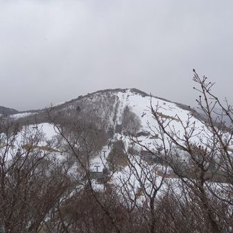 遊び疲れて帰ってきた頃に天気が急変
雪が降り始めました