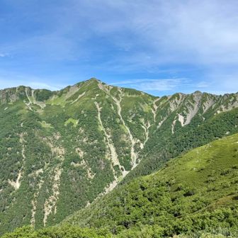 近そうでなかなか辿り着かない蝙蝠岳