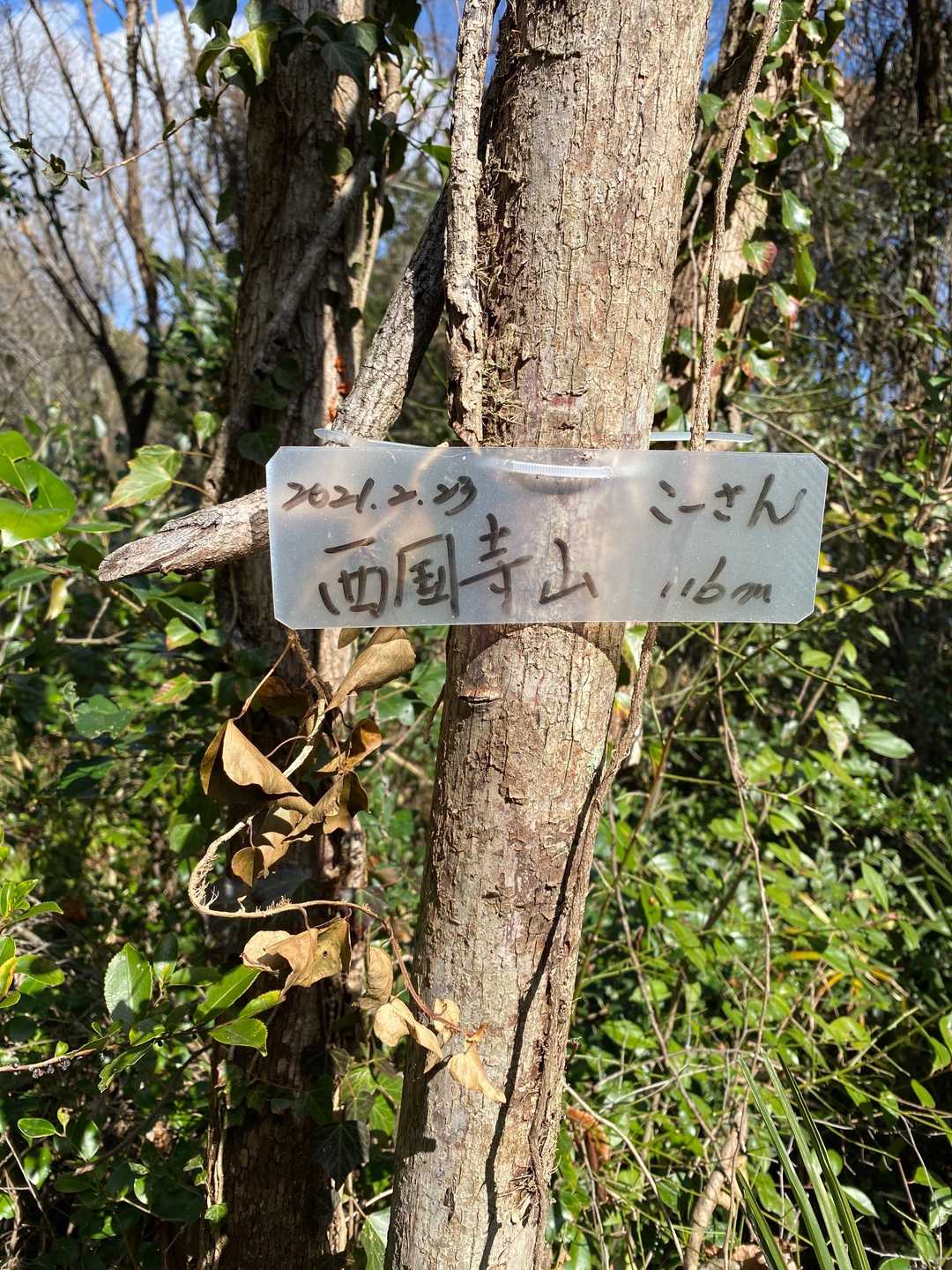 こーさんのプレートみつけました此処が頂上です