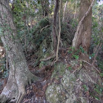 こちら側から清澄山（妙見山）登るのが初めて