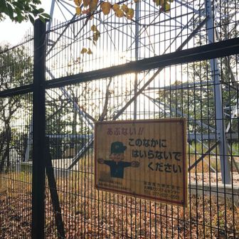 鉄塔があります。ここから下山。