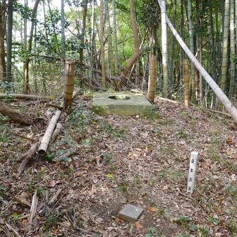 府殿山山頂到着。ここから少し引き返し、今度は西貫へ続く古道を進んでいきます。