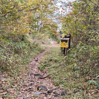 登山口に到着