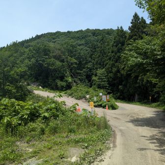 正面に鉢森山