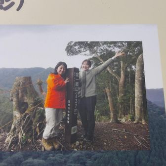 この杭はやはり必要ですね🥰