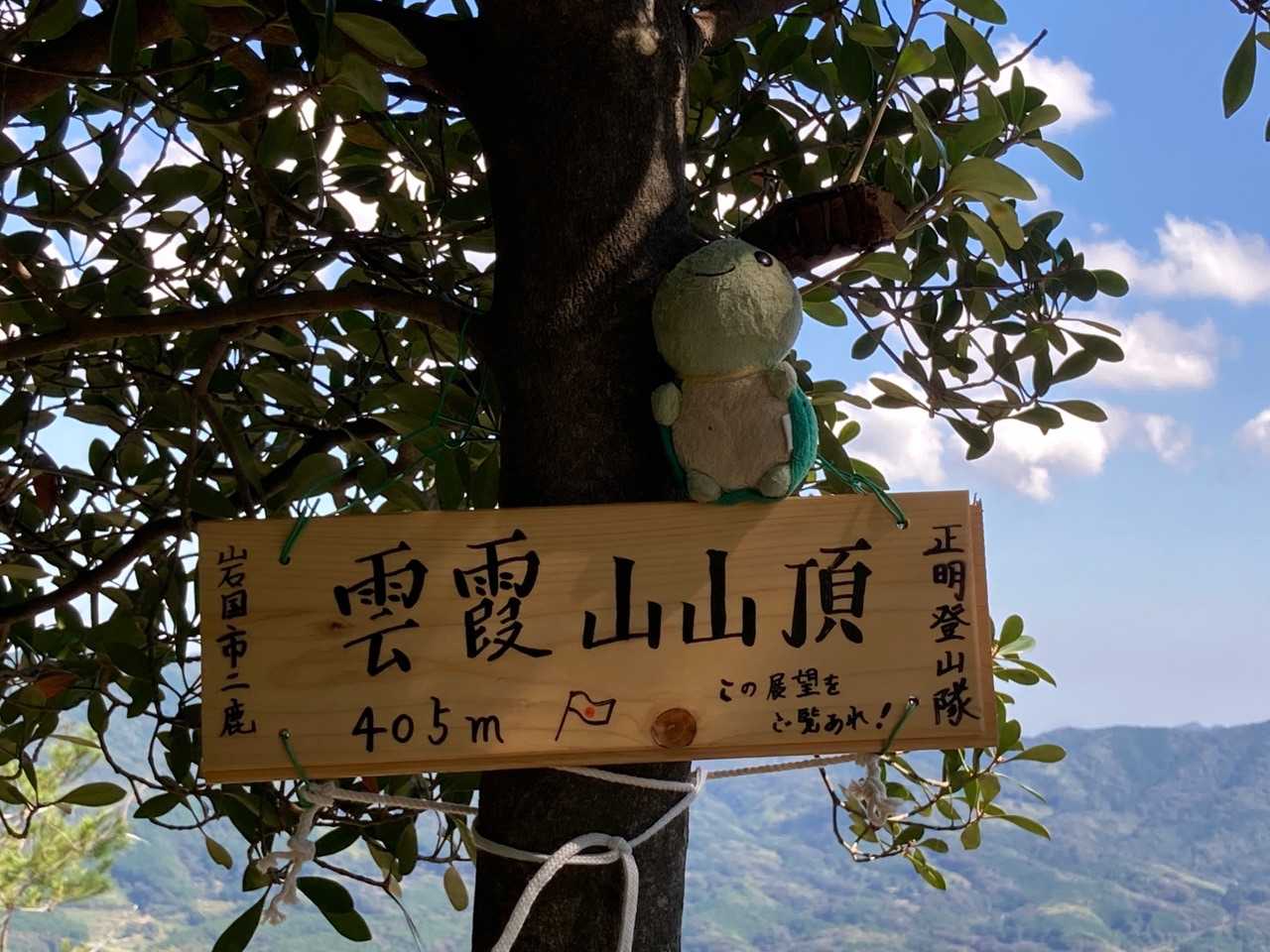 来た来た来ましたよぉ～🤗