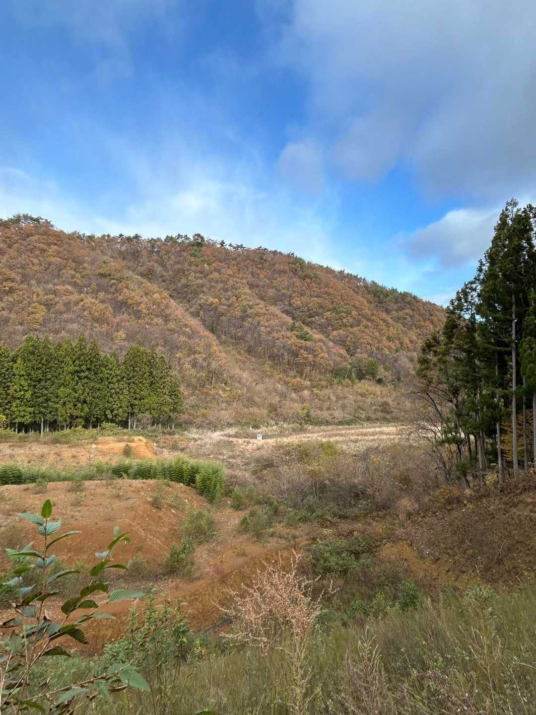 ほんのり里山っていいよねーッ
