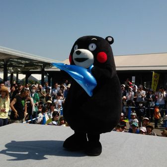 🚨熊出没注意🐻