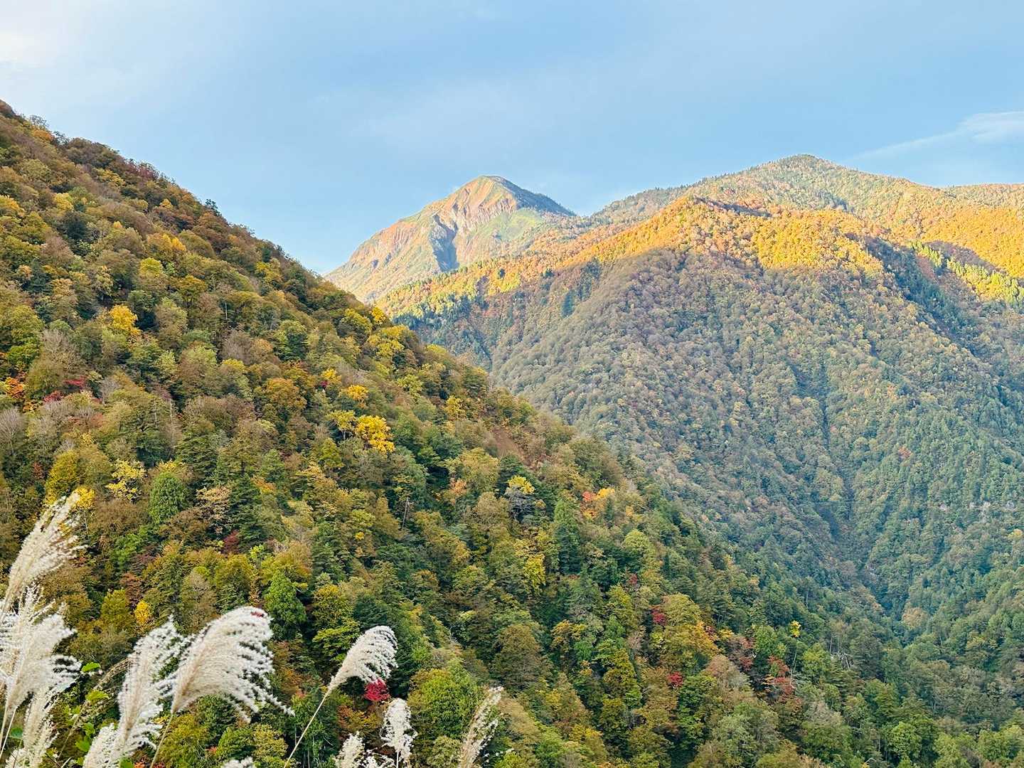 あの奥の山は😍⁉️
めちゃくちゃカッコエエ

山頂同定したら烏帽子岳🤔

後で調べたら岩菅山から行けるみたいで
行きたい山みーっけた🎶🎶🎶