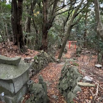 ここは、愛嶽山付近の一番高い所だが、頂上のプレート、アプリ上のピークは、少し下って左側にあった。