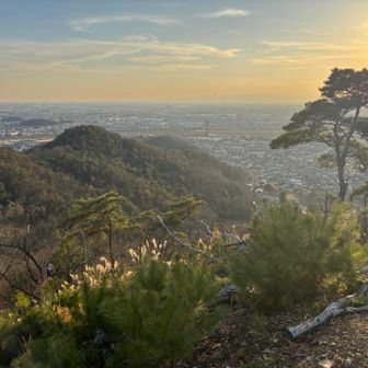 松と夕陽がいい感じ