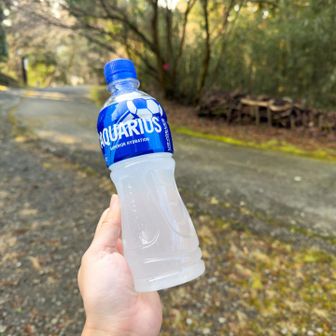 ピークがよくわからなかったので、今日のドリンク撮っておきます📷
登山時はポカリですが、今日は走ってるのでアクエリ。1/3も飲まなかった😧