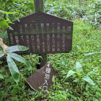種池
行って見よう！