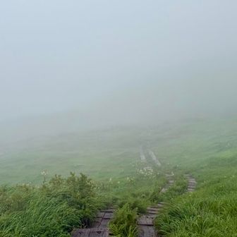 係の人が上がってきてこれ以上風が強くなるとリフト止まるかもと拡声器でアナウンス

そして行きで見れた景色も全く見えずガスガスの中 修行僧として黙々と歩く