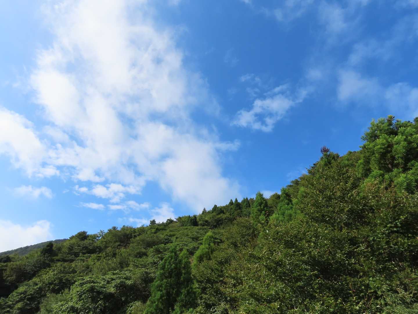 秋の雲ですね☁