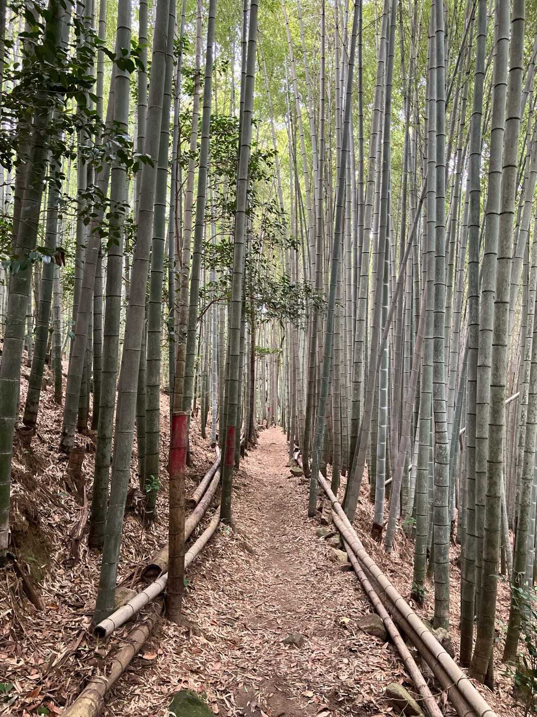 京都チックロード