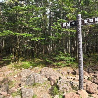 茶臼山へ向かう