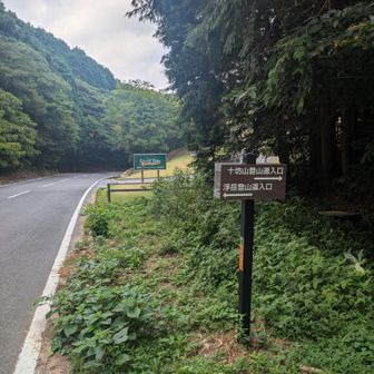 まー余力はまだあるし登ります