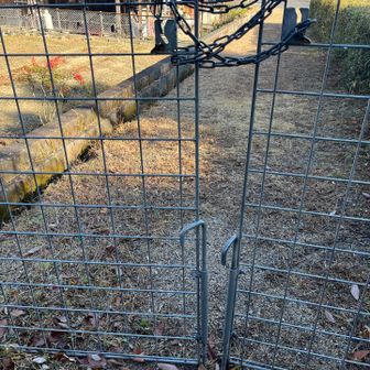 めんどくさいねんな〜