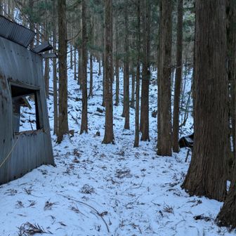 造林小屋、登り返し地点までの中間