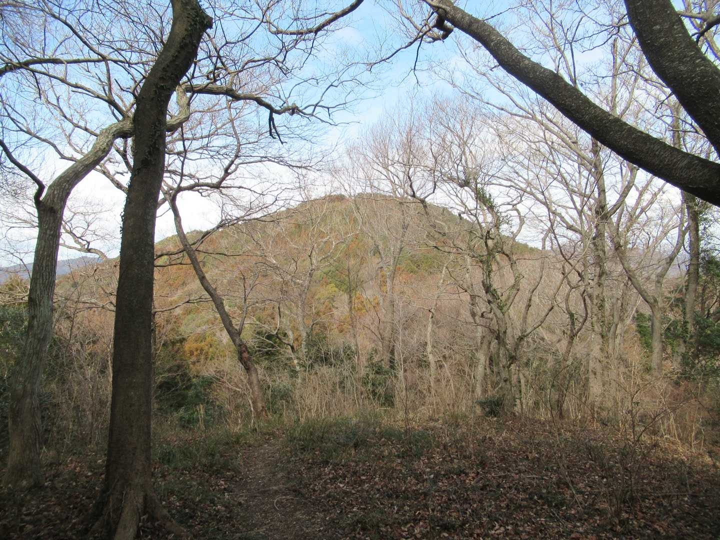 向こうに竜ヶ岩山が見えます
