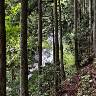 立派な滝