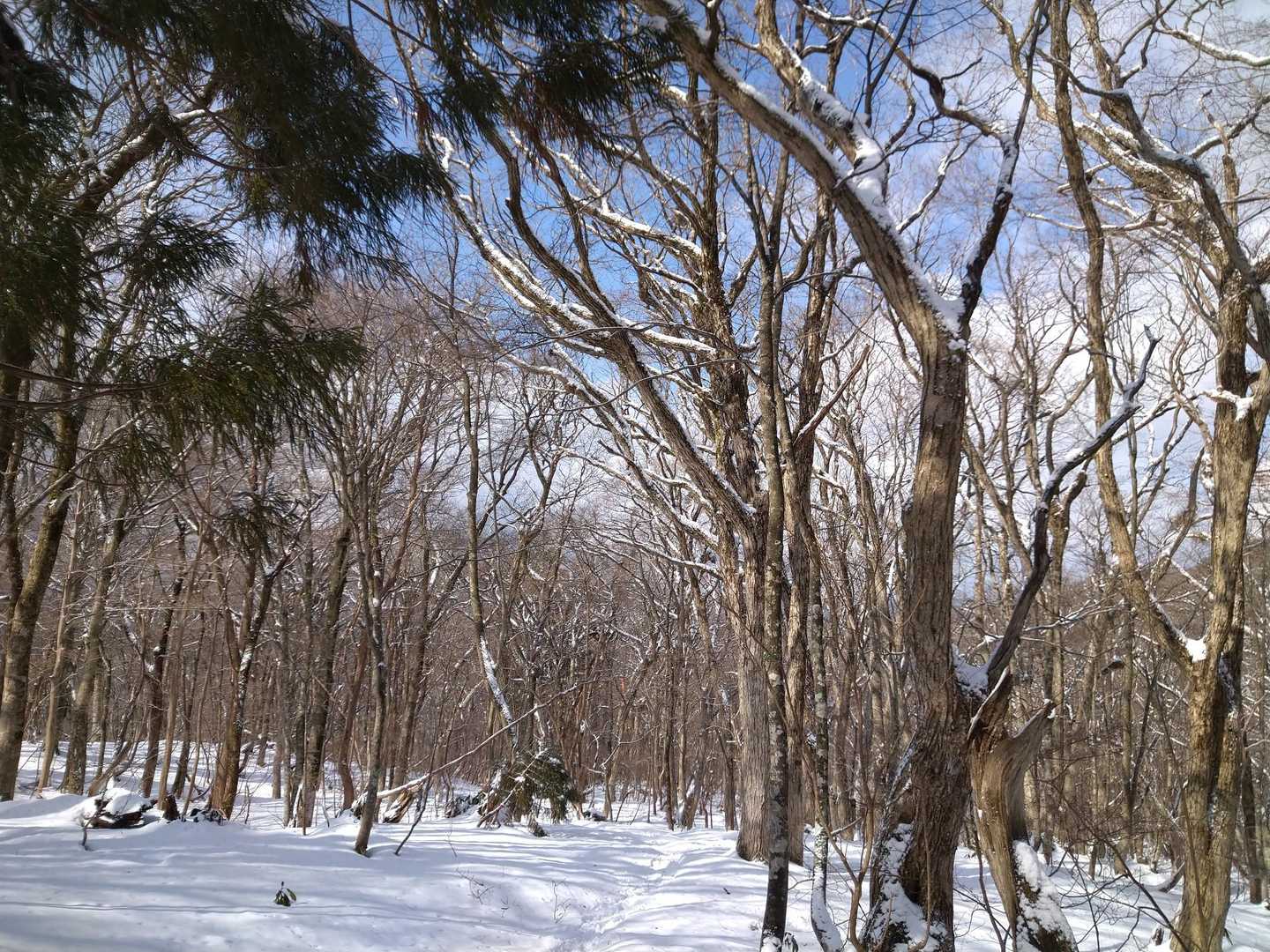下山は快適