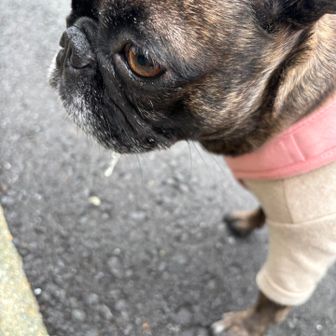 ぶー⭐︎初心者